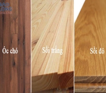 So sánh gỗ óc chó và gỗ sồi: loại nào phù hợp cho nội thất cao cấp?
