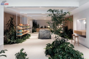 Thi công showroom cho chị Trang - Quận 7 Thi công showroom cho chị Trang - Quận 7
