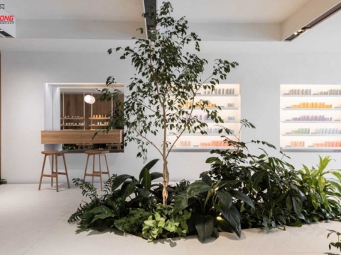 Thi công showroom cho chị Trang - Quận 7