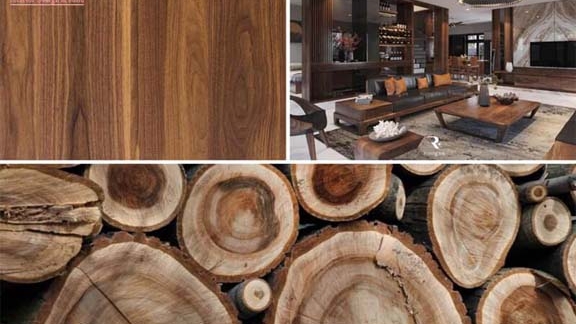 Mách bạn 3 đặc điểm phân biệt gỗ óc chó và gỗ sồi đơn giản, chính xác nhất